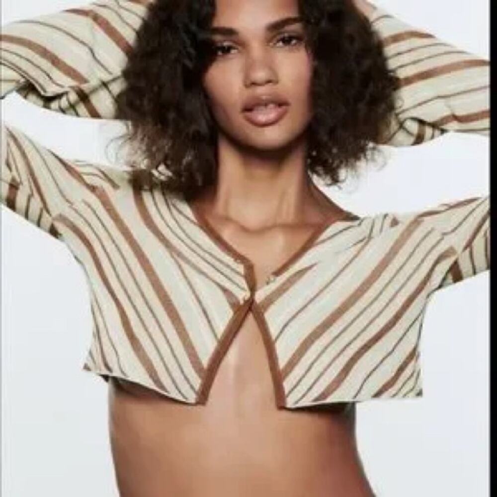 Zara Blue Brown Y2K Style Long Sleeve Crop Button Slit Cropped Knit Top Large